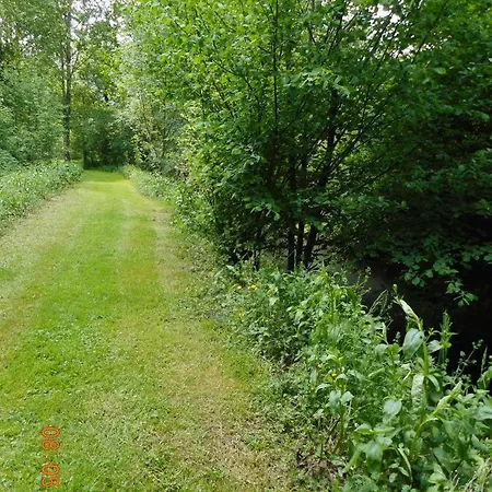 Le Moulin Neuf - Les Lilas Vakantiehuis *