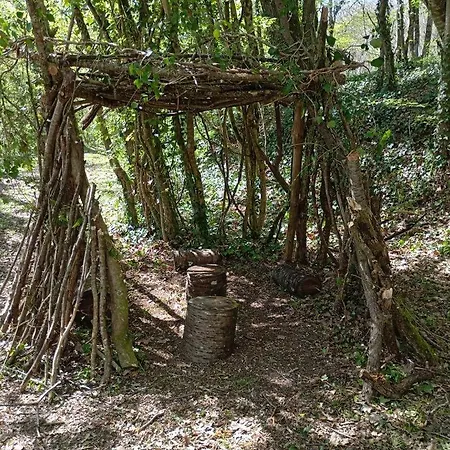 Hébergement de vacances Le Moulin Neuf - Les Lilas *